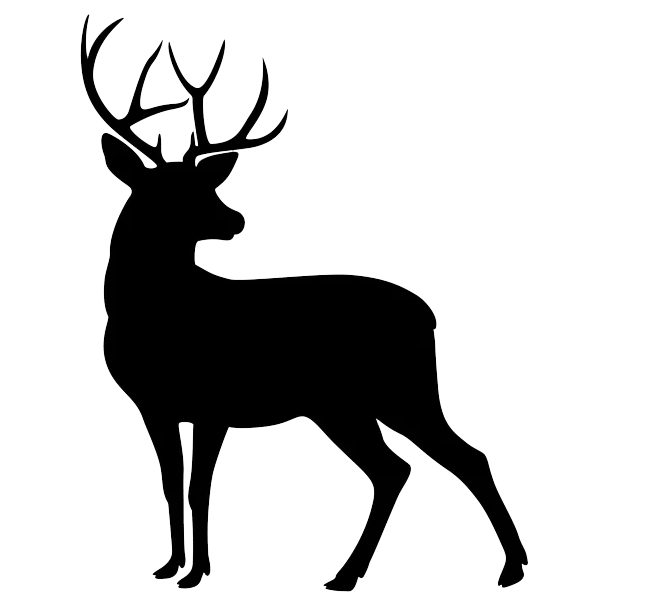 Caccia agli ungulati